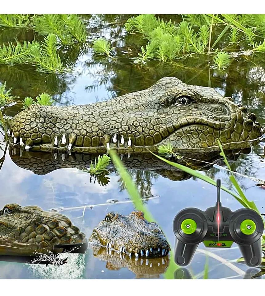 RC Alligator Head Boat for Adults and Kids