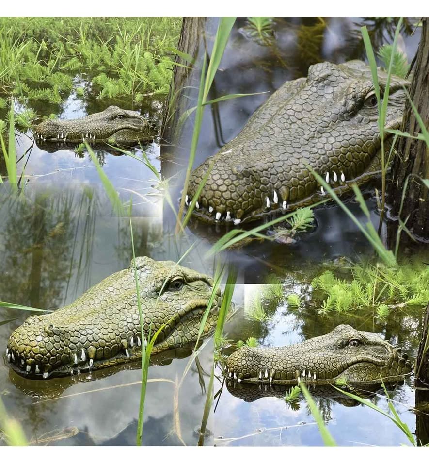 RC Alligator Head Boat for Adults and Kids - photo 5