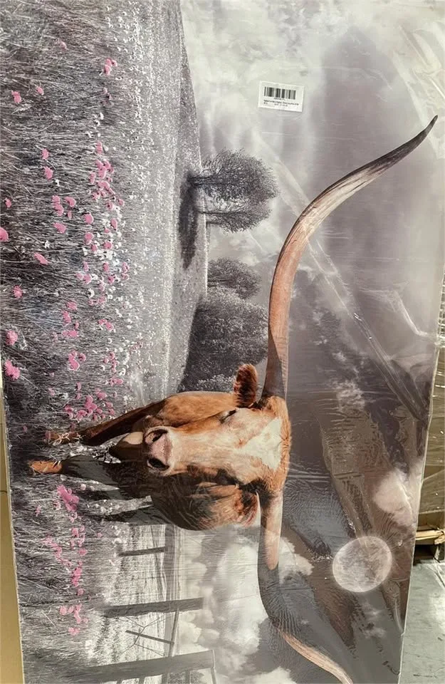 New Highland Cow Wall Art Cow Picture 30"X60" image indicator(3)