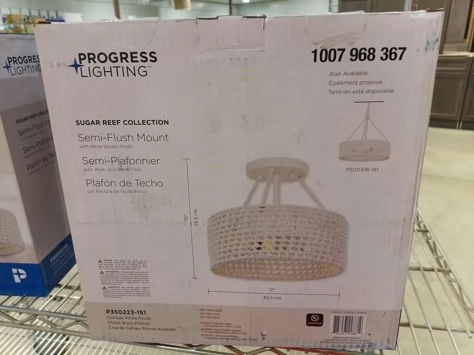 New Progress 2-Light Ceiling Fixtures image indicator(2)