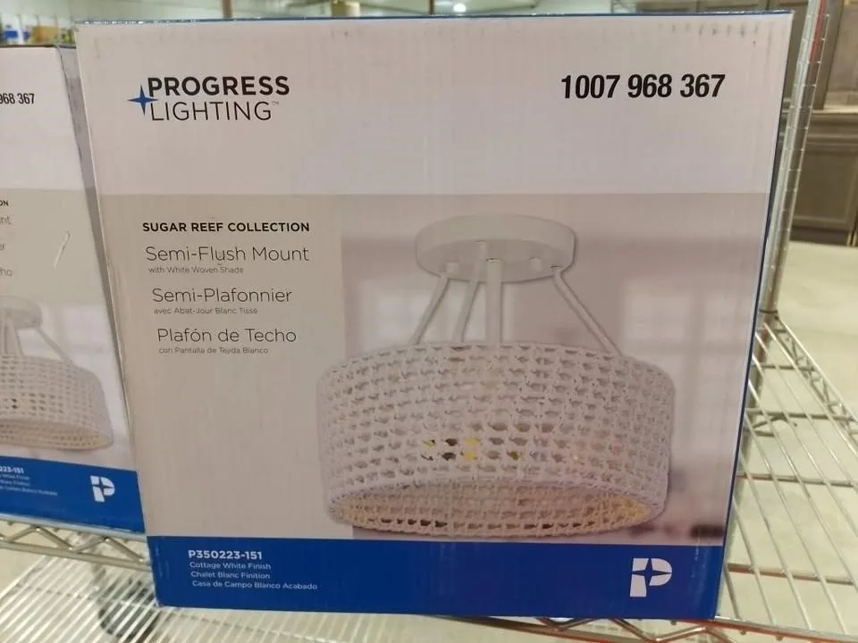 New Progress 2-Light Ceiling Fixtures image indicator(3)