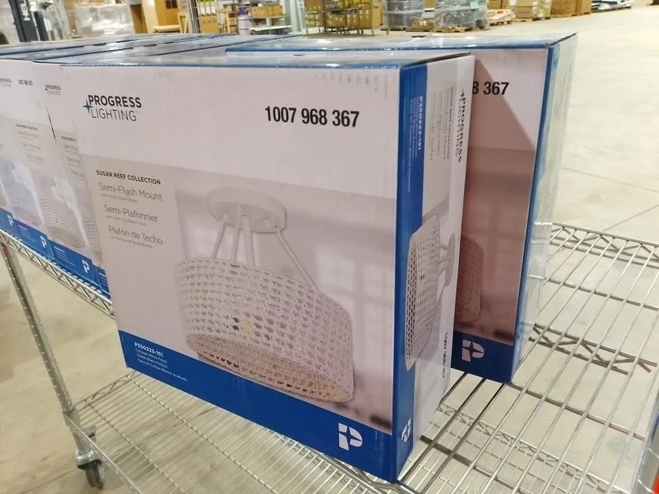 New Progress 2-Light Ceiling Fixtures image indicator(4)