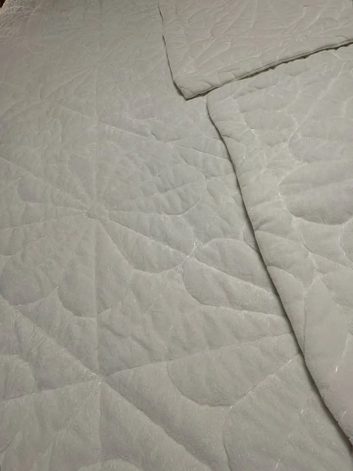 STUNNING Cream Colored Daisy Queen Quilt Set image indicator(4)