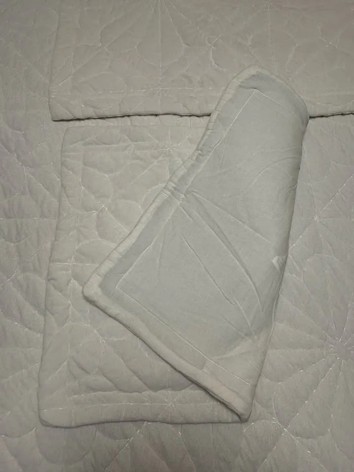 STUNNING Cream Colored Daisy Queen Quilt Set image indicator(6)