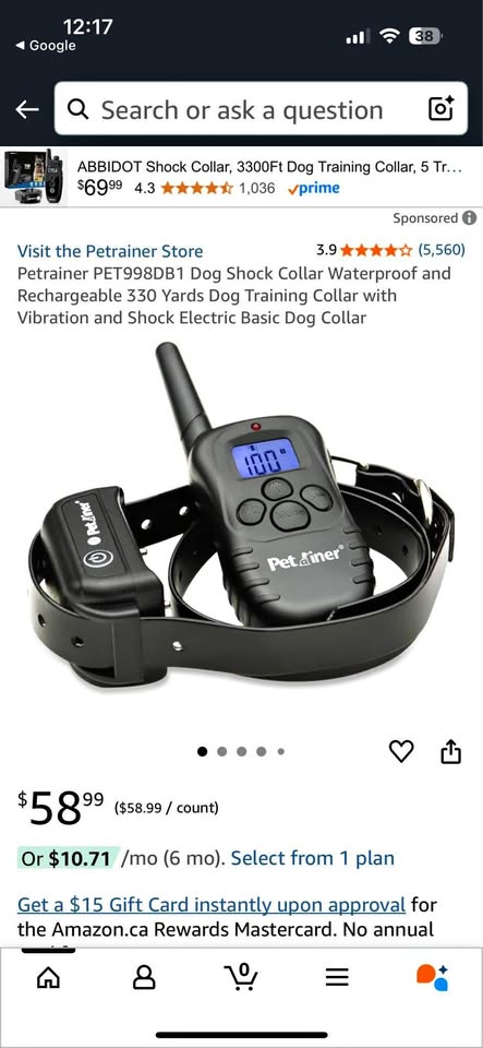 Training collar for dogs