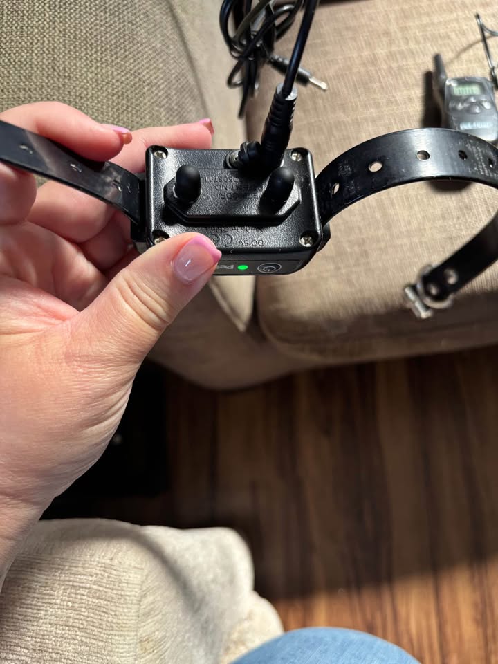 Training collar for dogs - photo 5