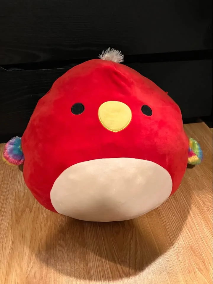 Paco the Parrot Squishmallow 🥕 thumbnail