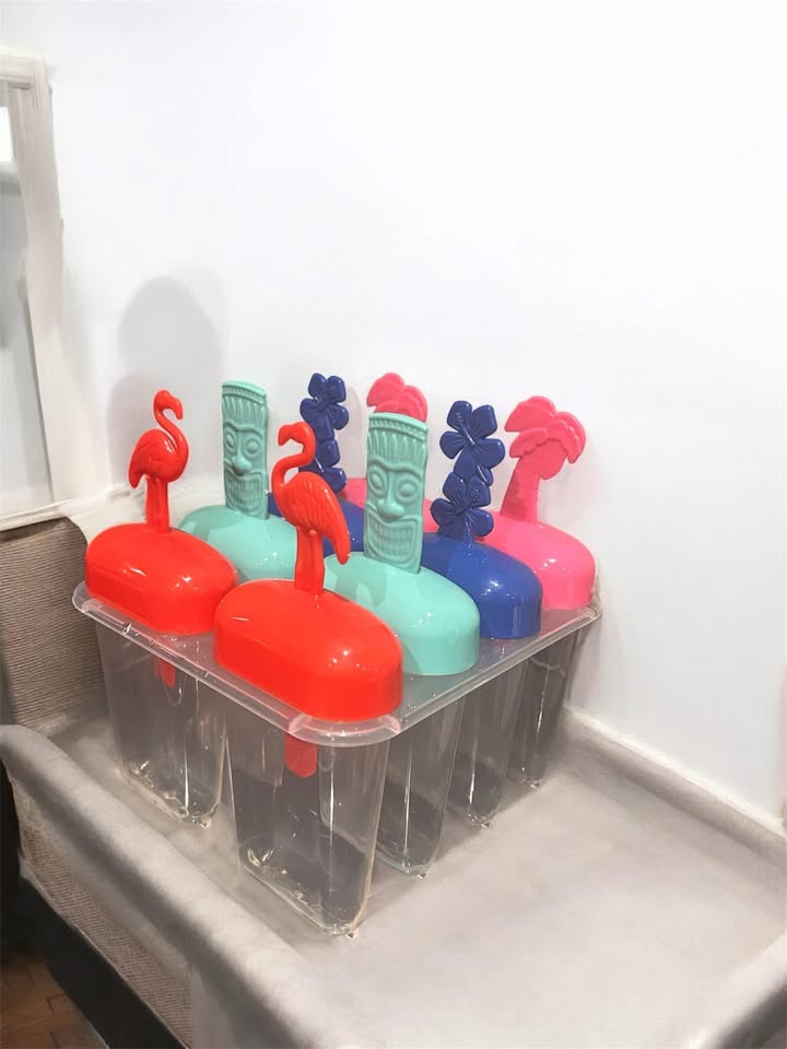 Snackle Box - Used Once - $15 w/ Free Popsicle Mold - photo 3