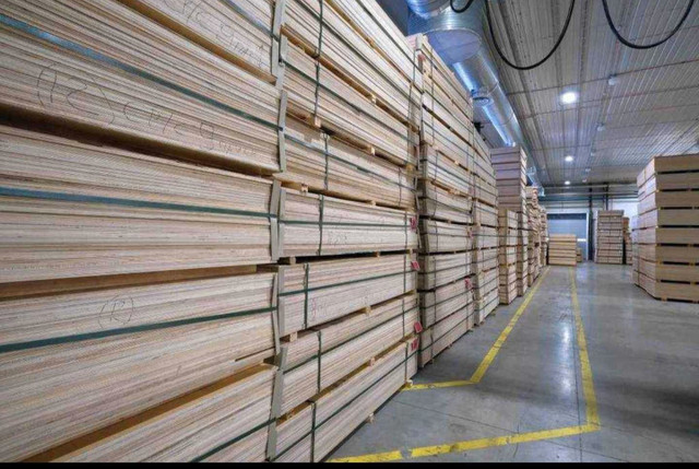 BALTIC BIRCH PLYWOOD SANDED PREMIUM QUALITYWAREHOUSE SALE - photo 3