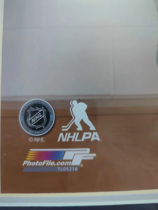 Official Auston Matthews framed photo- *ACCEPTING BEST OFFER* image indicator(3)