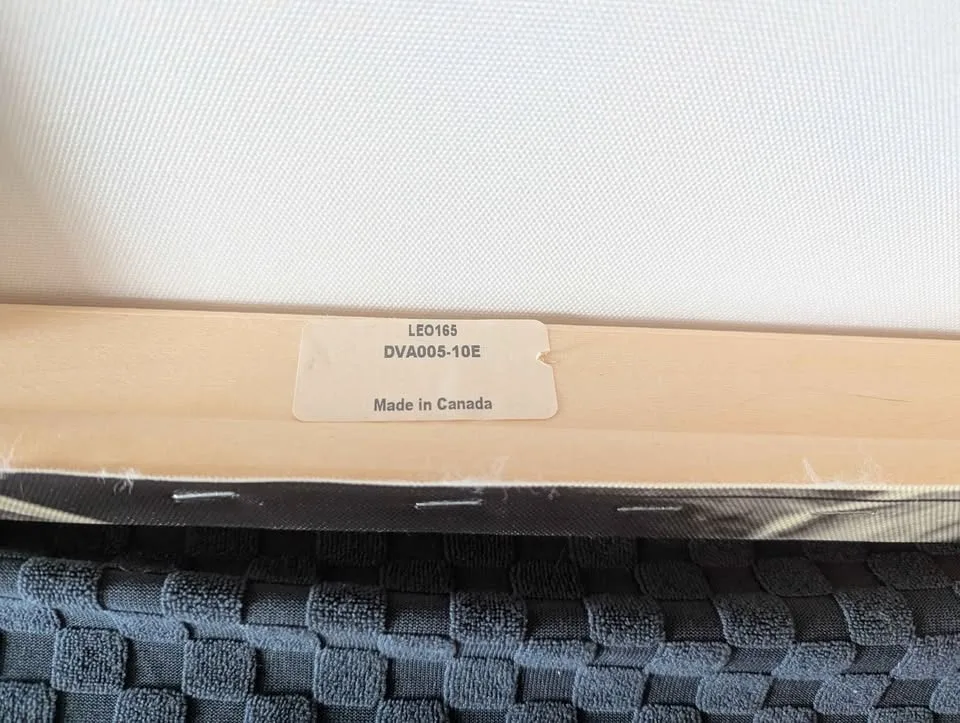 Large Black and White Canvas Print - "Ancient Roots" image indicator(4)