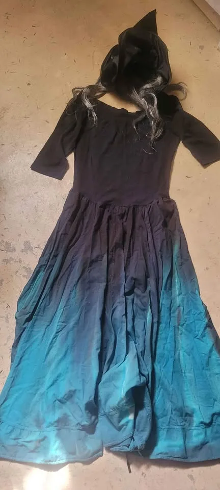 Witch Halloween costume - dress and hat/wig for a witch costume image indicator(2)