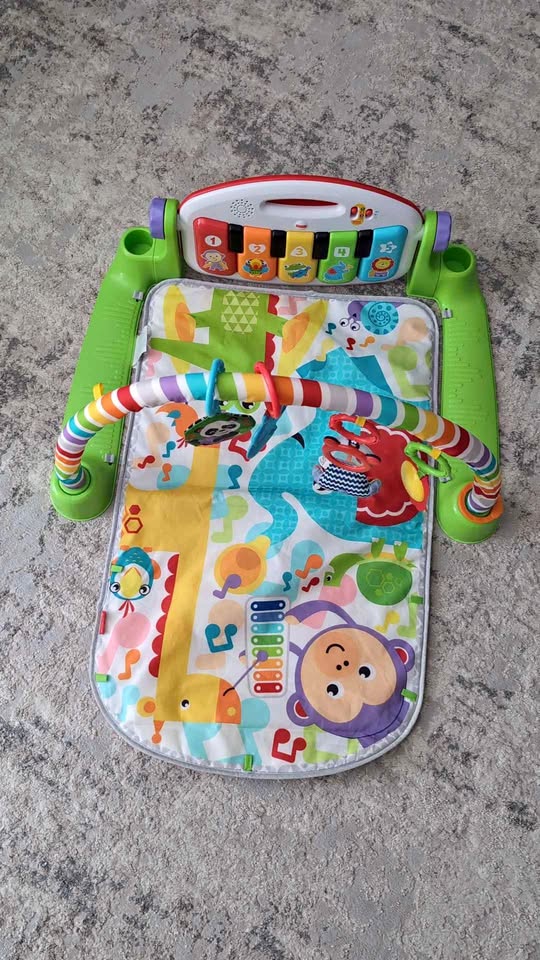 Gently Used Baby Playmat with Accessories