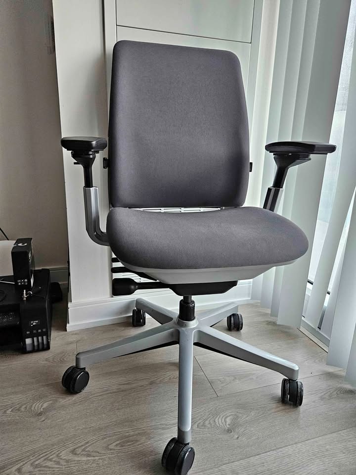 Steelcase Amia Ergonomic Chair