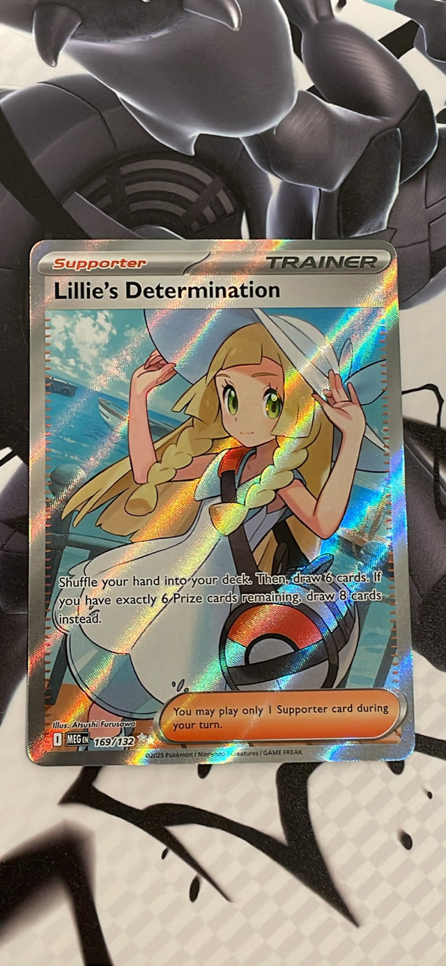 Lillie’s determination 169/132 - photo 2