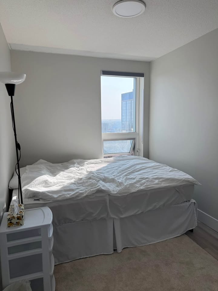 Queen Size Mattress (10”) + Metal Bed Frame (16”) - photo 3