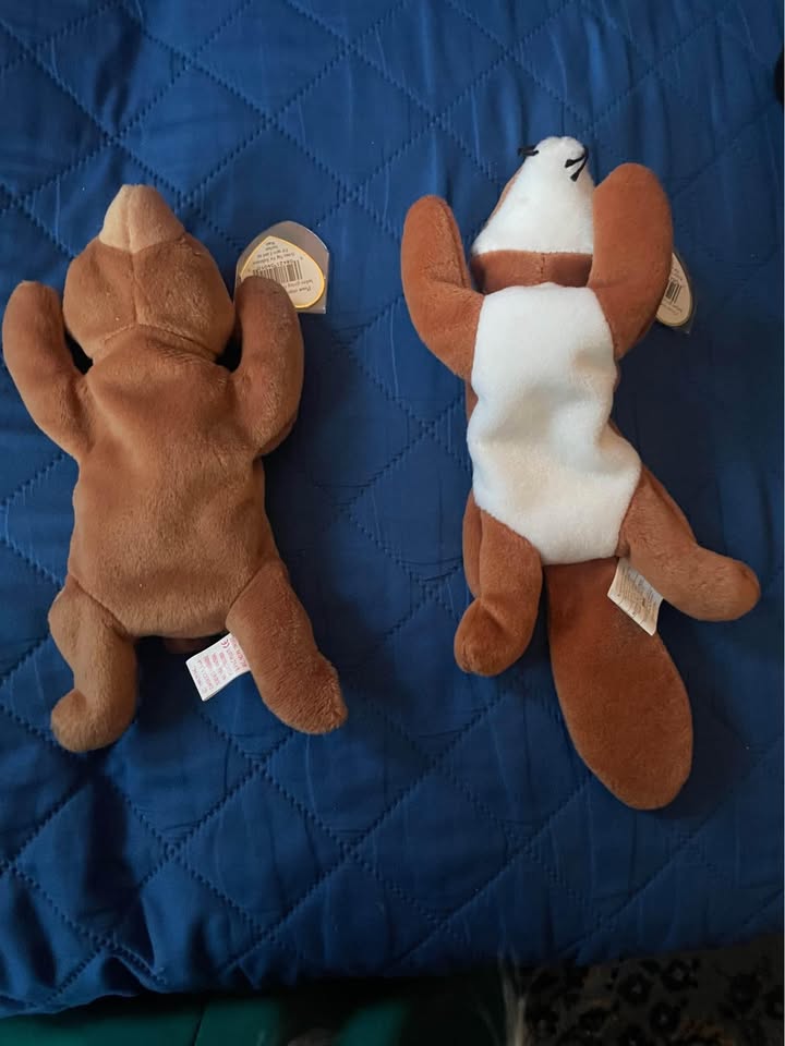 4th Gen Beanie Babies Cubby the Bear Sly the Fox - photo 2