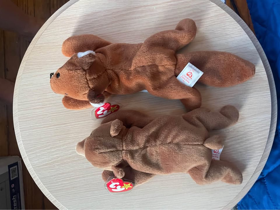 4th Gen Beanie Babies Cubby the Bear Sly the Fox - photo 4