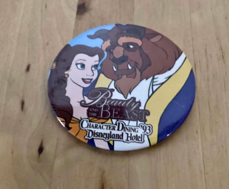 Beauty and the beast 1993 pin