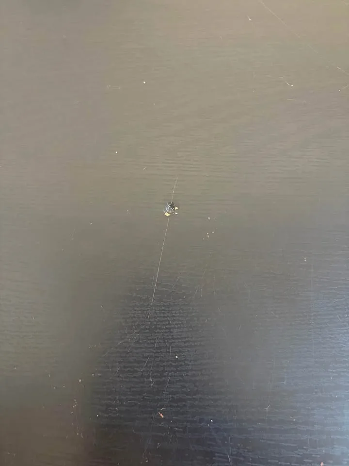 Desk image indicator(3)