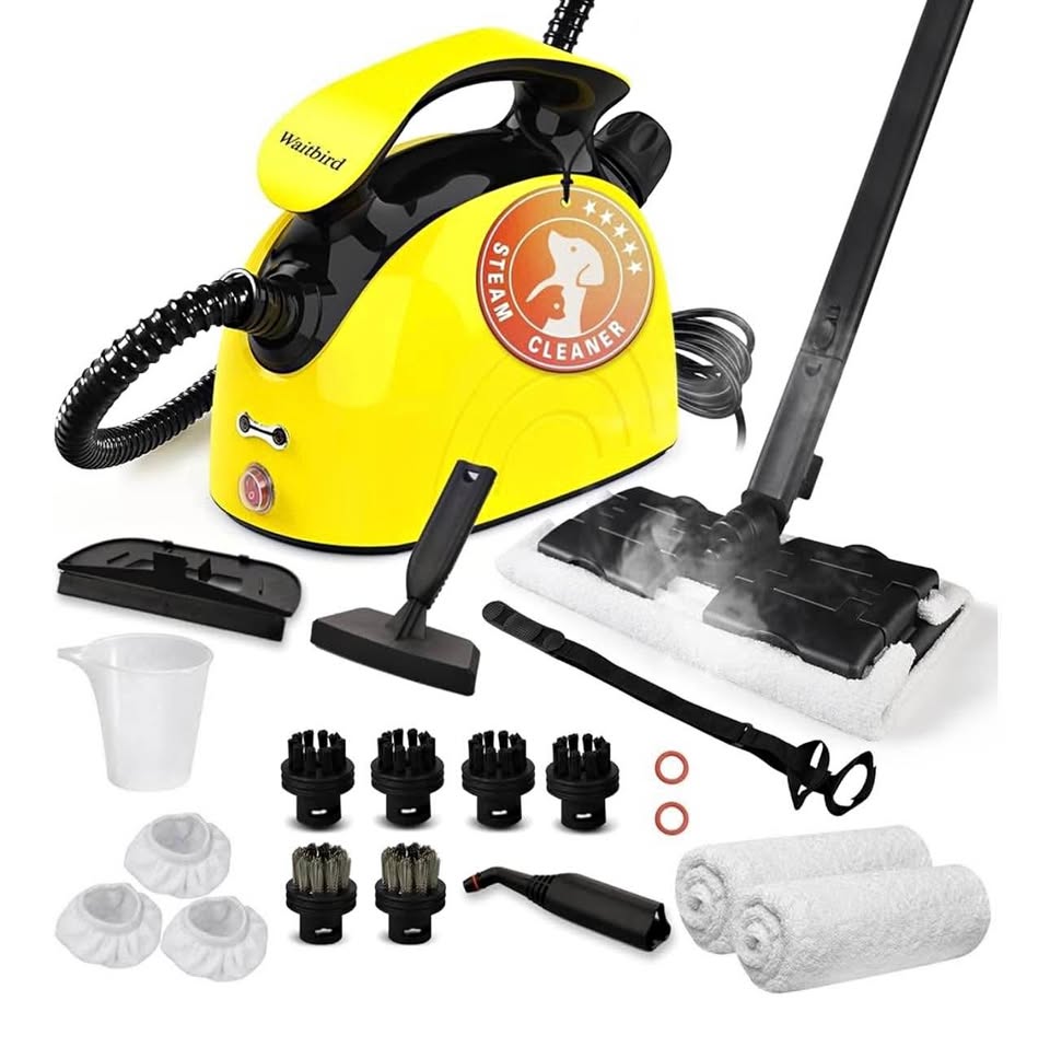 Waitbird Steam Cleaner