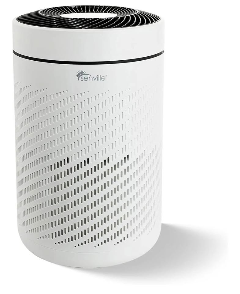 Air Purifier for Home