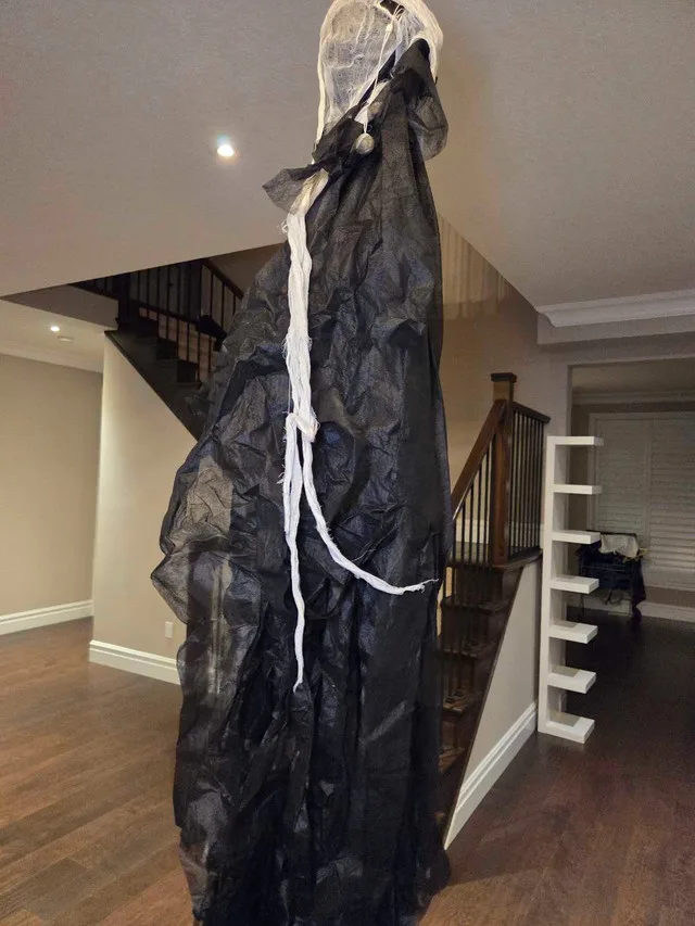 Halloween Decorations & accessories image indicator(3)