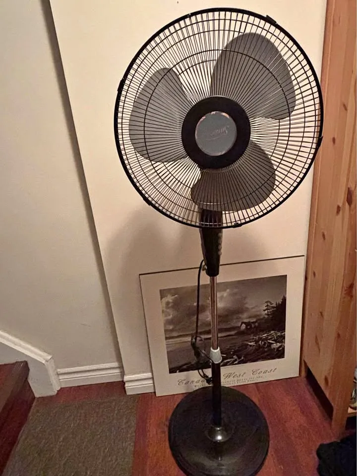 Pedestal tall oscillating fan - Sunbeam brand