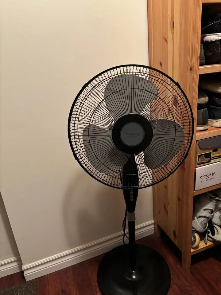 Pedestal tall oscillating fan - Sunbeam brand image indicator(2)