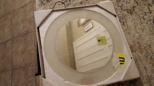 Umbra Decorative mirror $25.00 NEW