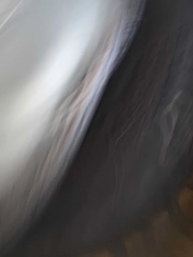 Mazda 5 original rims (5 dr) 205 R 17 image indicator(6)