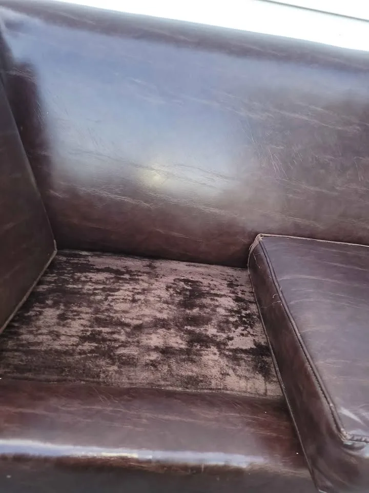 3 seater sofa image indicator(4)