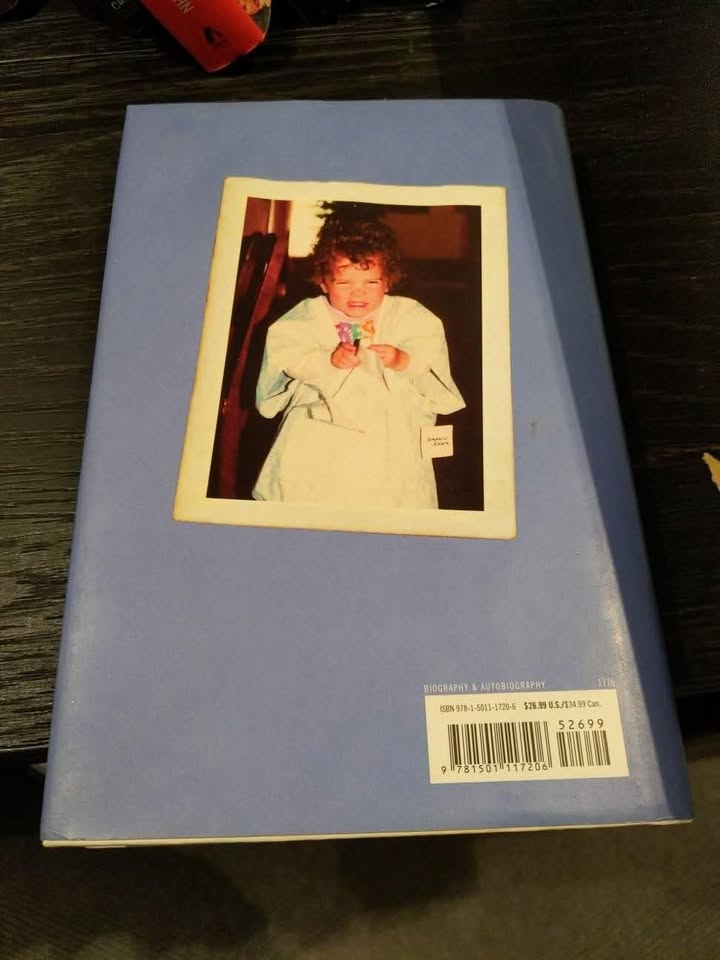 Anna Kendrick Scrappy Little Nobody (hardcover) - photo 2