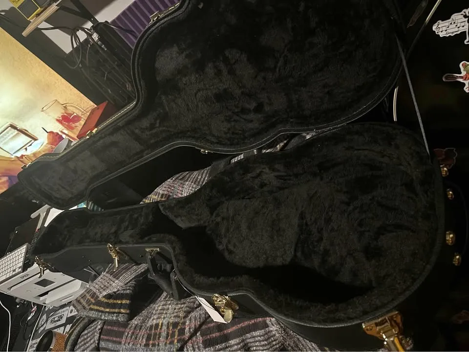 Funda de bajo violín dura thumbnail
