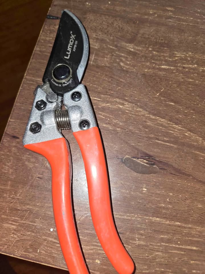 Lumo-X Pruning Shears