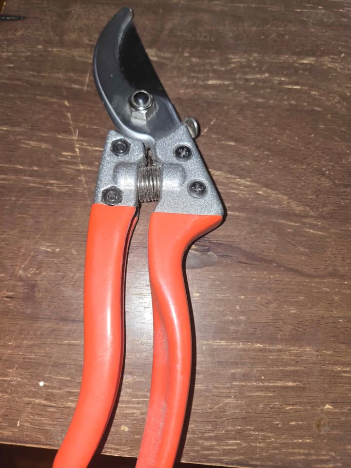 Lumo-X Pruning Shears - photo 2