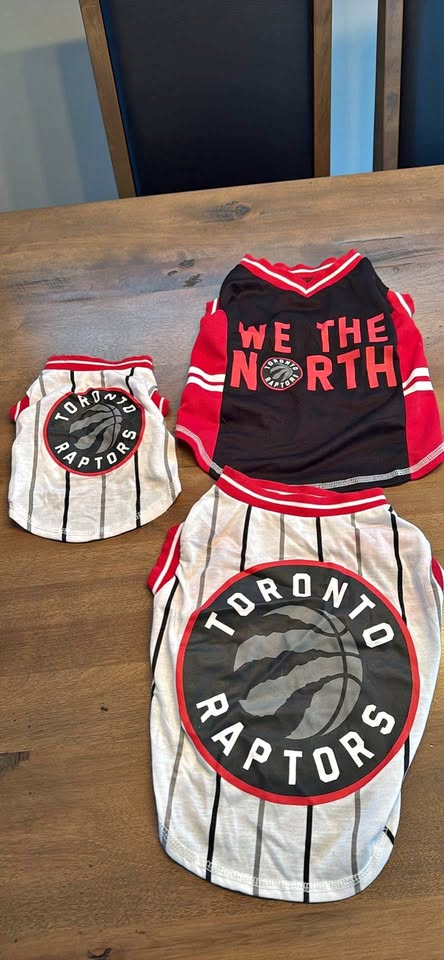 Toronto Raptors Dog Jerseys