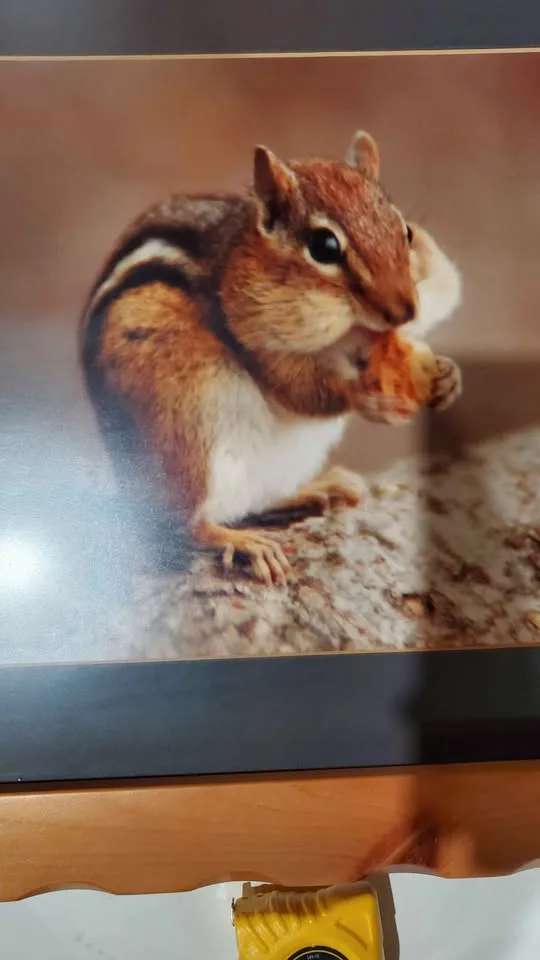 Wall frame H-21inch, L-25 inch, W- 1 inch image indicator(2)