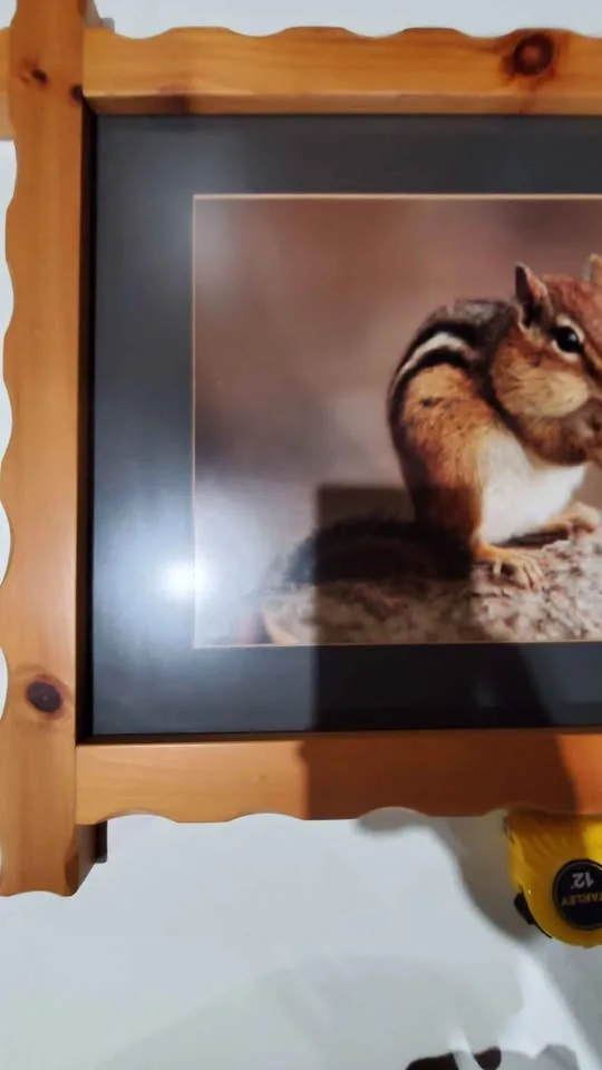 Wall frame H-21inch, L-25 inch, W- 1 inch image indicator(3)