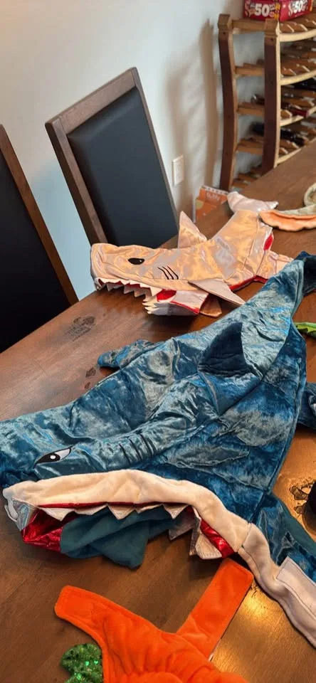 Halloween Dog Costume Lot of 7 image indicator(3)