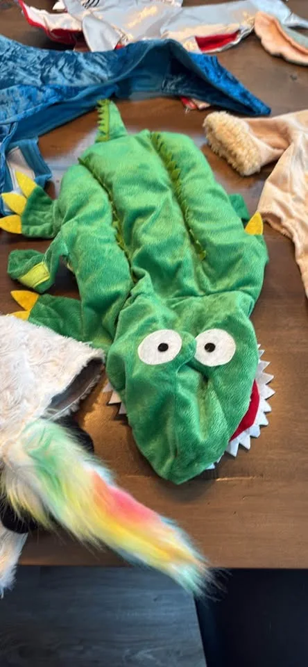 Halloween Dog Costume Lot of 7 image indicator(5)