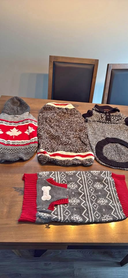 Dog Sweater Lot of 7