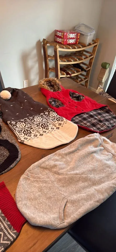 Dog Sweater Lot of 7 image indicator(2)
