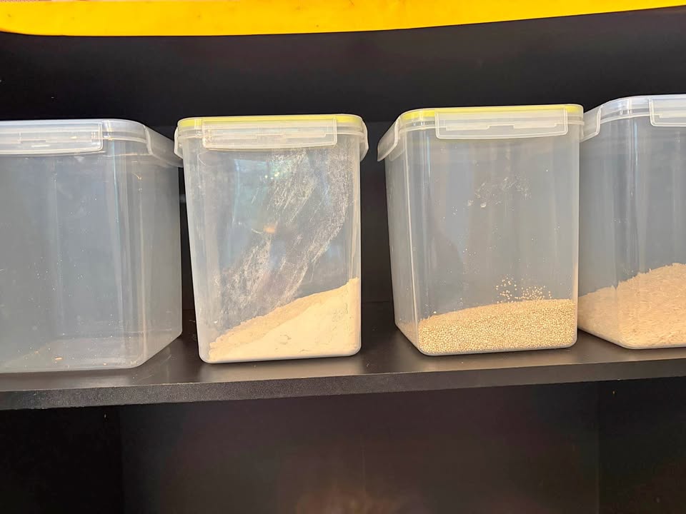 Food storage bins for pantry (set of 4)