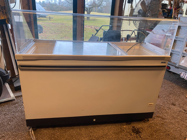 Celcold CF59SG 60" freezer cabinet - photo 4