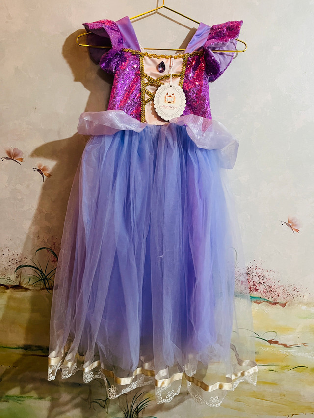 Princess Dress-Size 5-6T - photo 4