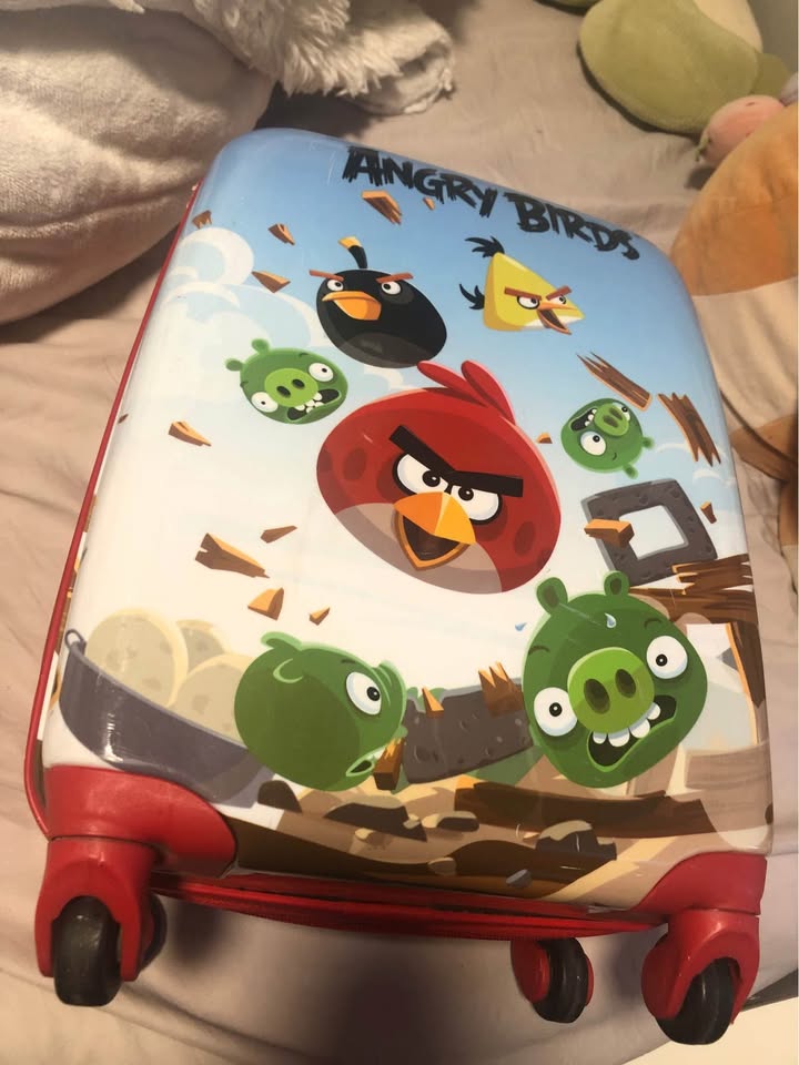Kids Small Angry Birds Suitcase - photo 3