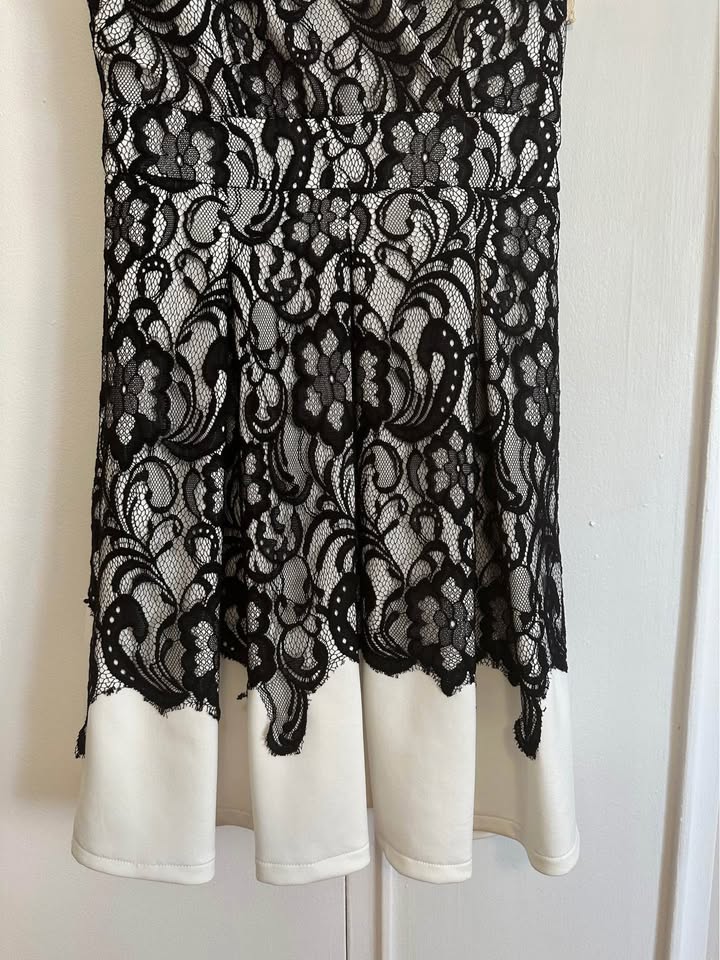 White Lace Le Chateau Dress - photo 3