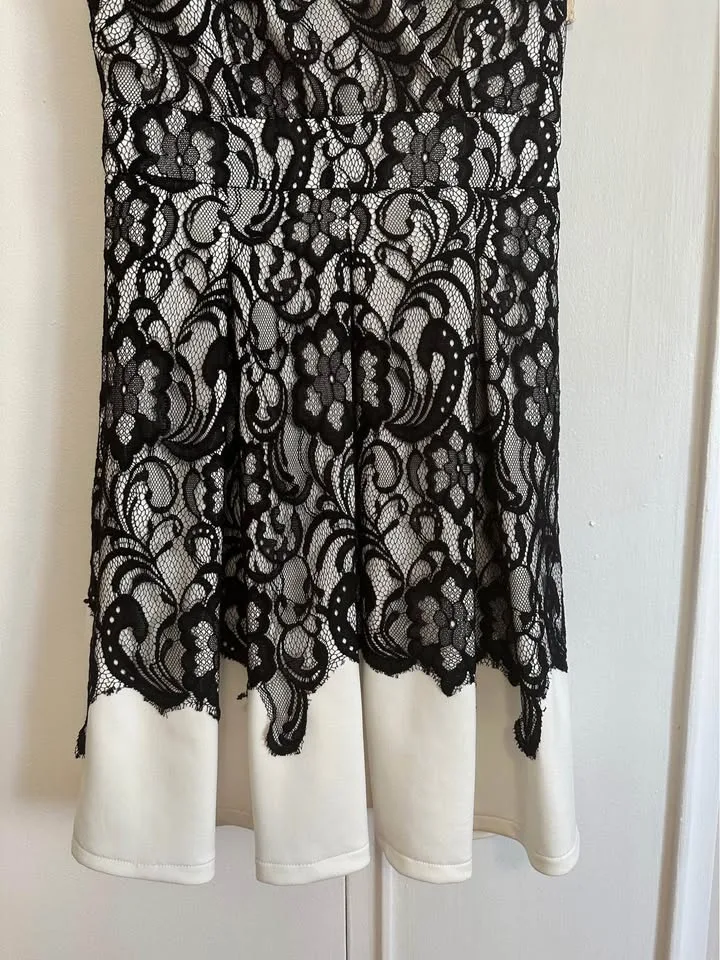 White Lace Le Chateau Dress image indicator(3)