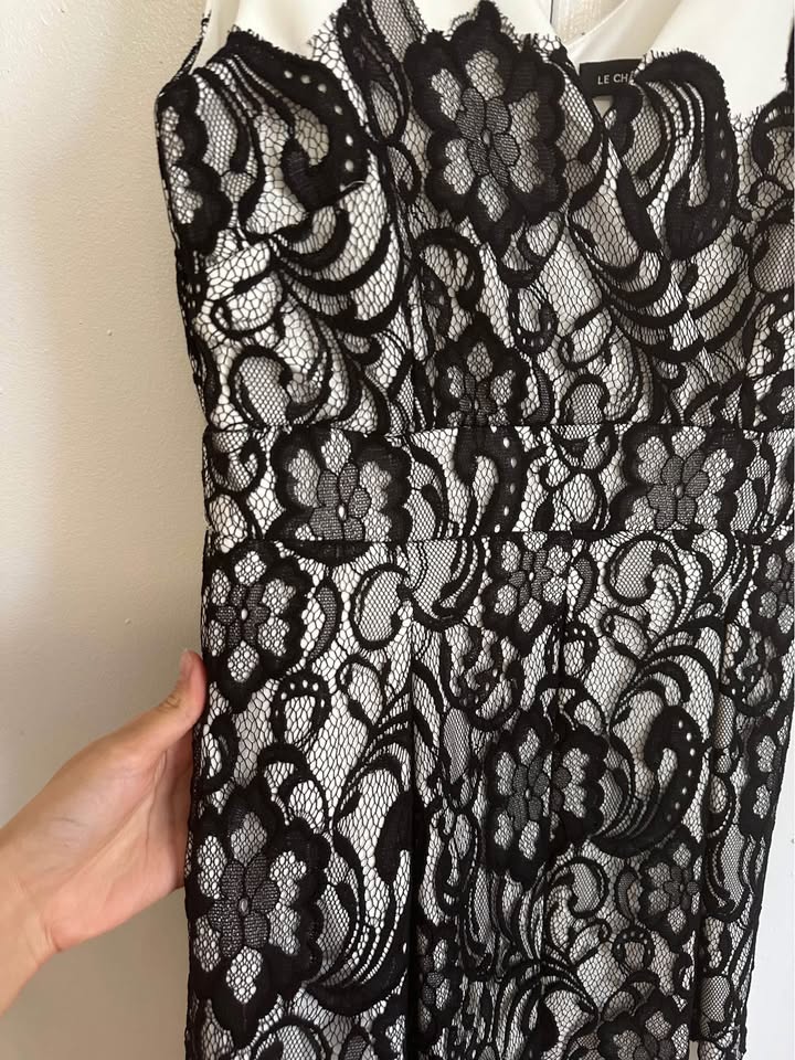 White Lace Le Chateau Dress - photo 4